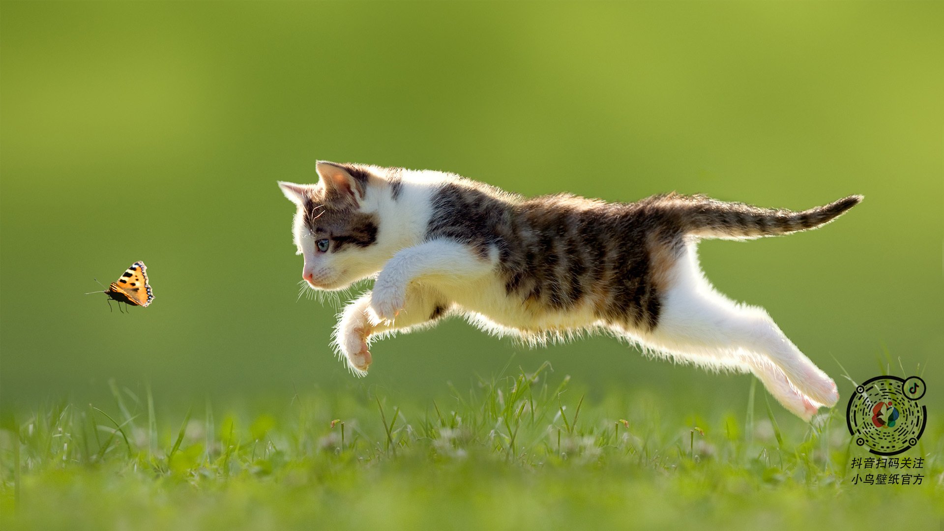 银河战舰的南美征服者，维尼修斯一剑封喉，皇马决胜局碾碎乌拉圭铁壁